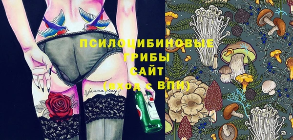 МДПВ Алексин