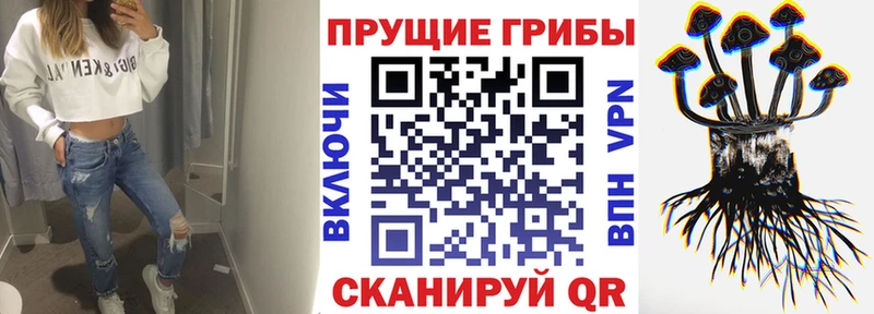 где продают   Гуково  Галлюциногенные грибы мицелий 