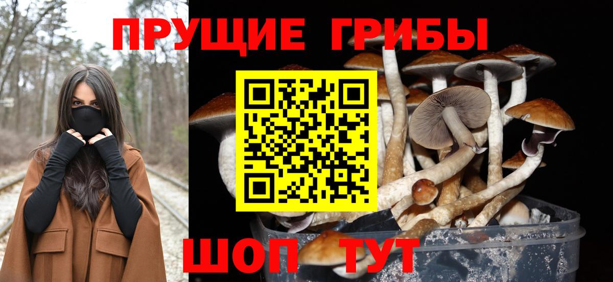 Галлюциногенные грибы ЛСД  Вход с VPN  Гуково 