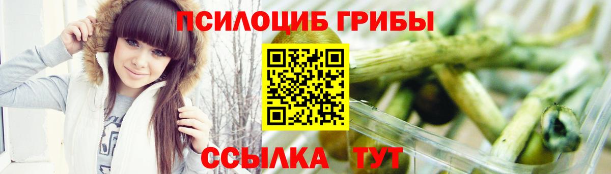 Псилоцибиновые грибы мухоморы Гуково